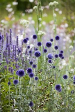 picture1 - Добре дошли в нашата Слънчева градина! 