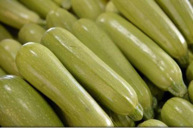 Тиквички Рембранд (7002)